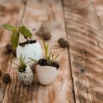 How Easter Teaches Us About Transformation and New Beginnings